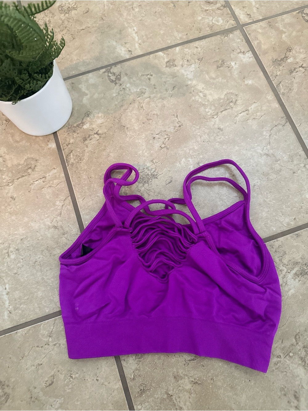 PURPLE SPORTS BRA - Picture 2 of 5